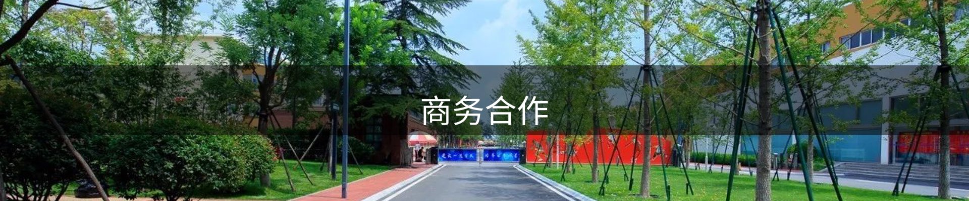 商务合作